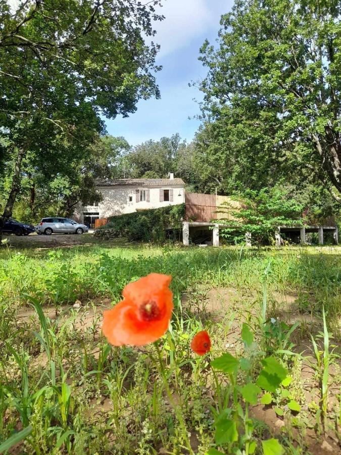 Dions Le Mas Du Coquelicot المظهر الخارجي الصورة